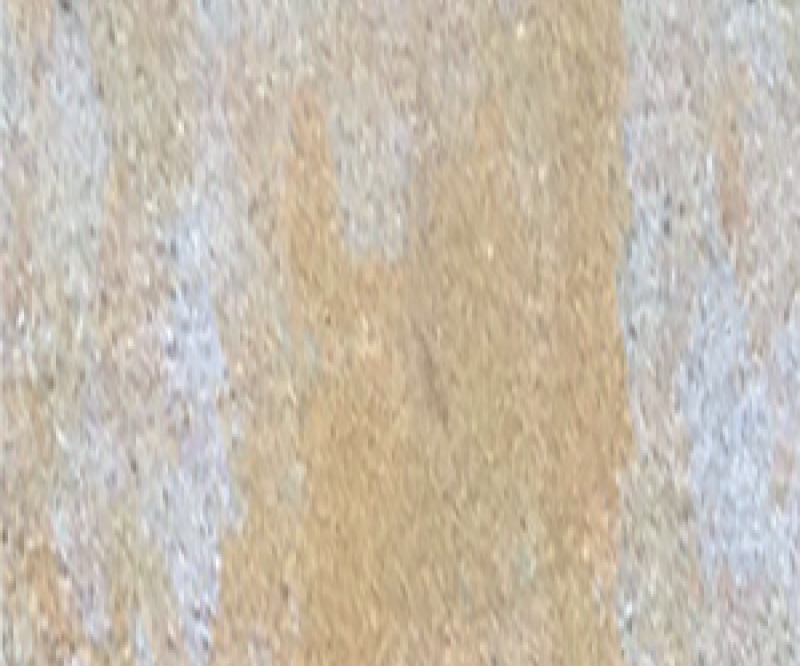 SARI-BEYAZ
